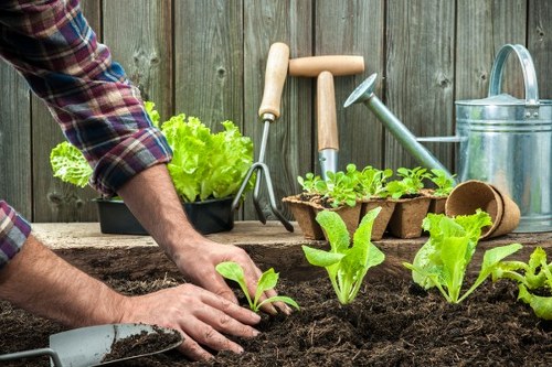 Sustainable gardening practices in Hatch End garden