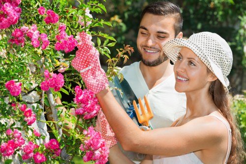 Lush summer garden in Hatch End