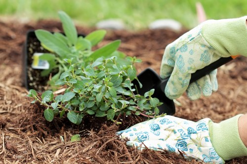 Gardener inspecting plants with clipboard