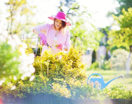 Trained gardener wearing PPE operating a hedge trimmer safely