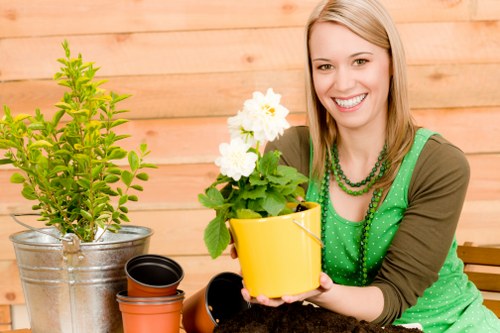 Seasonal lawn care techniques in Hatch End